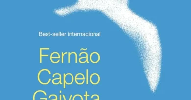 Fernão Capelo Gaivota